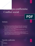 Sociologia Conflictului