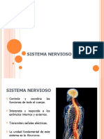 Sistema_nervioso