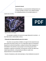 Protocolo P AK Desparacitación