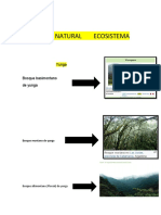 Región Natural Ecosistema