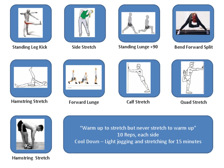 Effective Stretching Routine Guide | PDF | Wellness