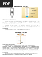 Avian Histophatology 4th Edition Vetbooks Ir Pdf Bone Marrow Haematopoiesis