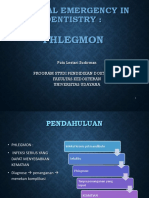 Phleg PDF