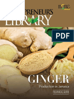 Ginger Reference Guide 1