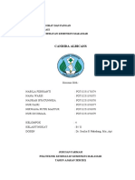 KLS Ii B Candida Albicans KLP 4