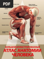 Большой Иллюстрированный Атлас Анатомии | PDF