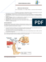 Reflejo Miotatico 2020 PDF