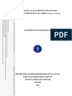Studi Kasus: Kajian Histopatologi Pada Kematian Seekor Biawak Ambon (Varanus Indicus)