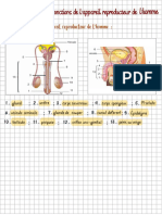 Grid Page2 PDF