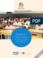 Relatório Descritivo - 5 Classes