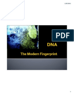 MBB 1 DNA Fingerprinting Handout