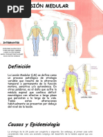 Escala de Discapacidad Por Lesión Medular - Asia | PDF