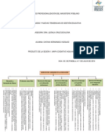 Mapa Cognitivo Agua Mala PDF