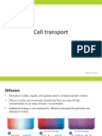 Biologia - Cell Transport Reading and Questions