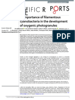 Milferstedt et al. - 2017 - The importance of filamentous cyanobacteria ...