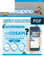 Cosapino 18 PDF