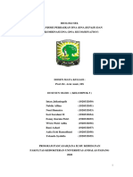 8.dna Repair Dan Rekombinan Kel 5 PPT Dan Makalah PDF
