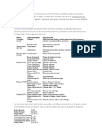 Los Miotomas Son Evaluables Separando Los Movimientos de Los Distintos Grupos Musculares