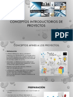 conceptos introductorios de proyectos.pdf