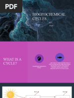 Biogeochemical Cycles: ESS Year 1