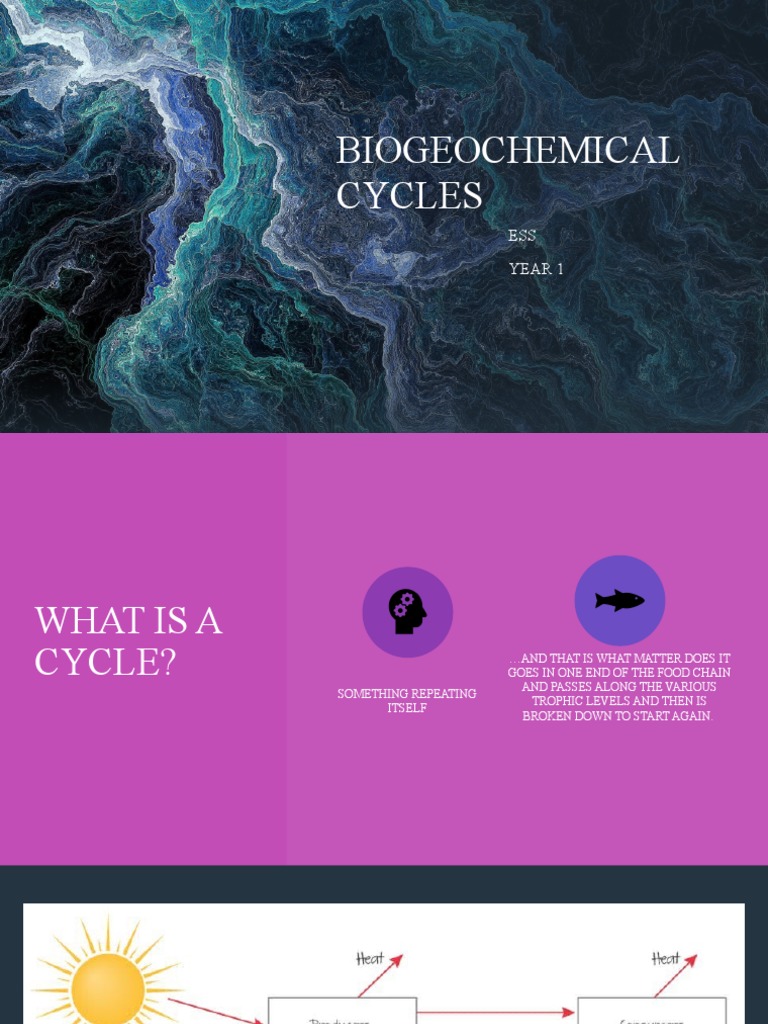 Understanding Biogeochemical Cycles | PDF | Carbon Cycle | Nitrogen
