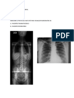 Actividad de Imagenologia en Terapia Manual PDF