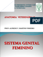 Aulas de Anat Vet Ii - Sist. Genital Feminino - Alunos - Alfredo v. M. Vimieiro 2018