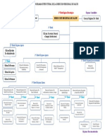 Organigrama Del Primer Ciclo