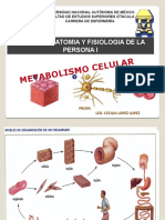 3 - Metabolismo Celular