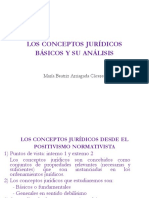 PPT Conceptos Jurídicos (Completo)