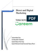 DDM Final Report CAREEM