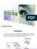 Exposición Vision Psicofisiologia