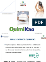 Quimikao