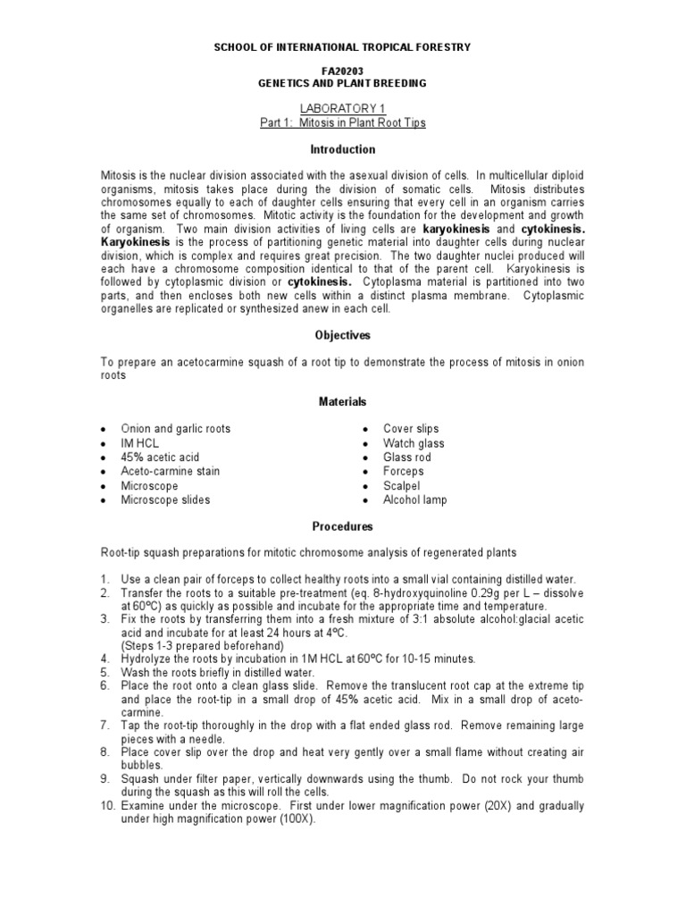 Mitosis and Meiosis in Plant Cells | PDF | Meiosis | Mitosis