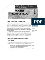 Apuntes Productividad PDF