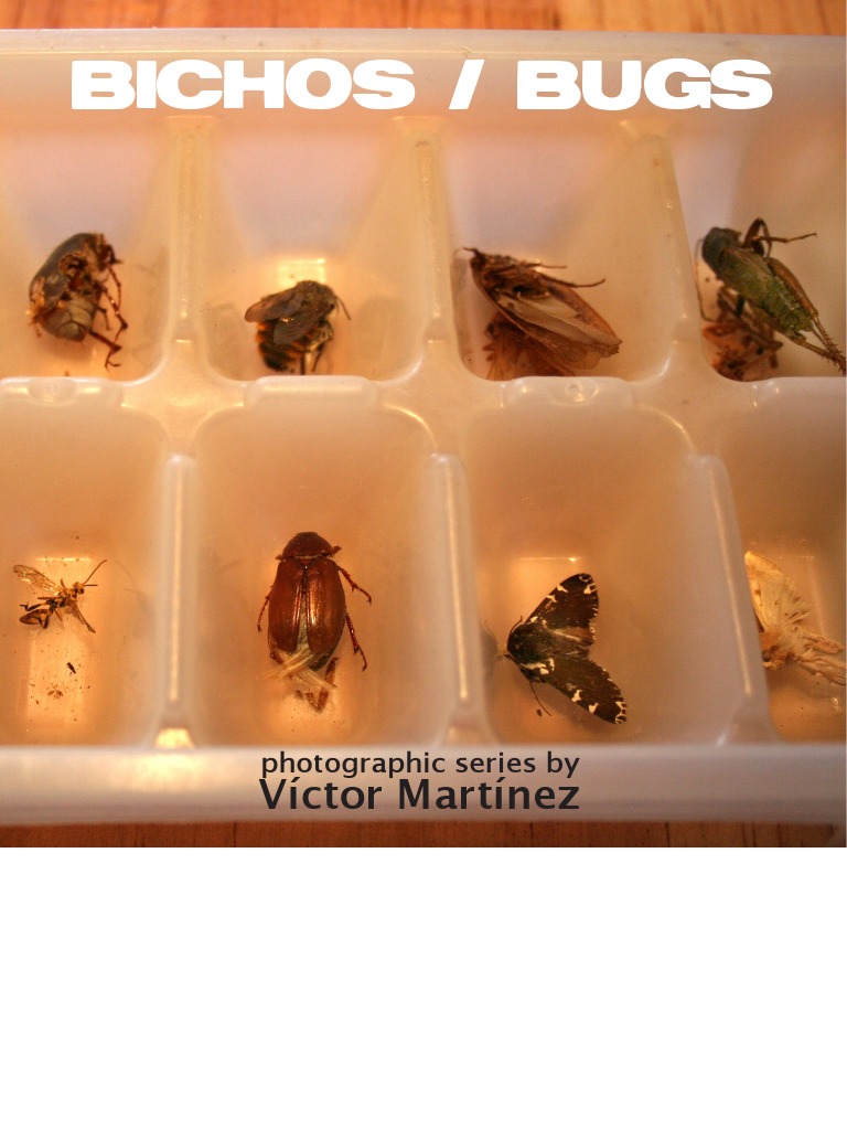 Bichos / Bugs: Víctor Martínez | PDF