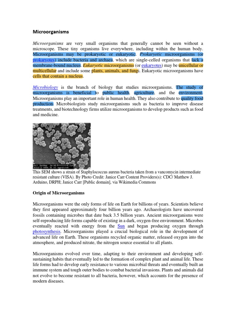 Microorganisms: Microorganisms Are Very Small Organisms That Generally ...
