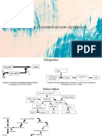 Patogenesis Corynnebcterium Dipthteriae