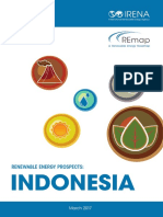 IRENA_REmap_Indonesia_report_2017.pdf