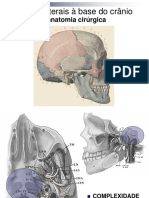 Abordagens laterais à base do crânio: anatomia e acessos