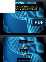10 Replicación del DNA y transcripción del RNA (2).pptx