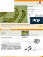 009 Euglena PDF