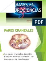 Pares Craneales PDF