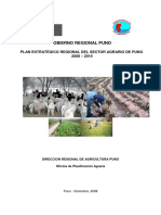 puno.pdf