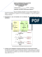 Cuestionario de saponinas.docx