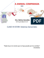 clase 7, lu  07-09, introduccion sensoriales.pdf