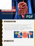 Enfermedades Del Sistema Digestivo