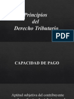 CAPACIDAD DE PAGO, PROPORCIONALIDAD E IGUALDAD