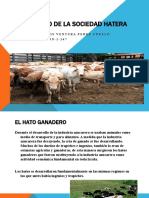 Tema 4 (Desarrollo de La Sociedad Hatera)