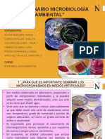 Diapositivas Microbiología Ambiental Semana 5